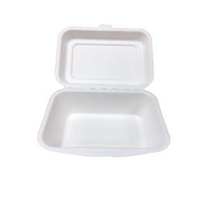 Biodegradable Sugarcane 7 x 5 Burger Box