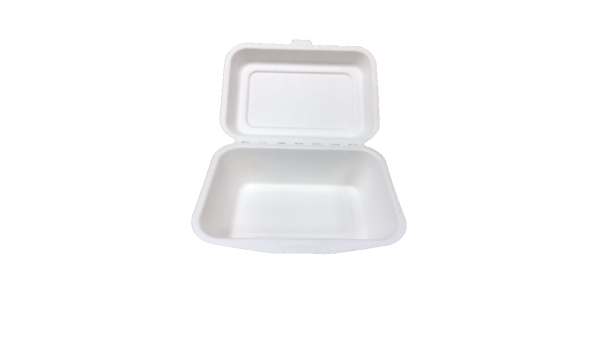 Biodegradable Sugarcane 7 x 5 Burger Box