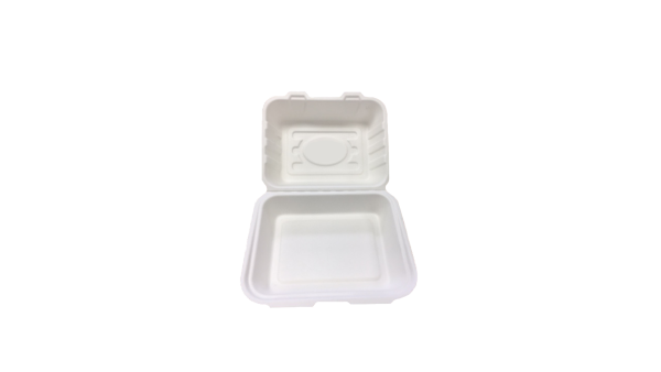 Biodegradable Sugarcane 7 x 6 Burger Box